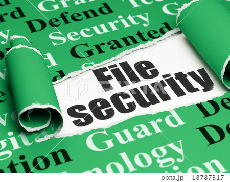 Safety concept: black text File Security under the 18787317