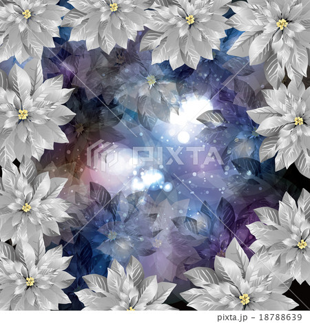 ポインセチア　背景 18788639