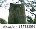 石碑 18788664