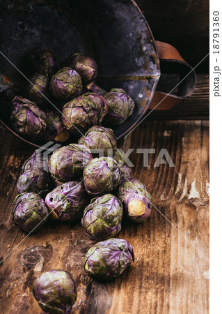 Violet sprouts 18791360