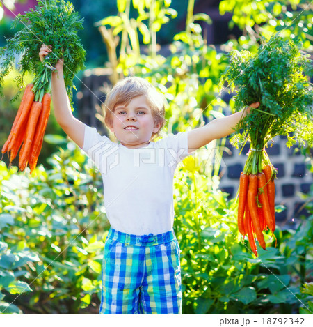 Funny little kid boy with carrots in domestic 18792342