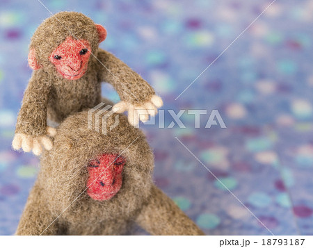 温泉でおんぶされる子猿 18793187