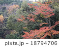 紅葉 18794706