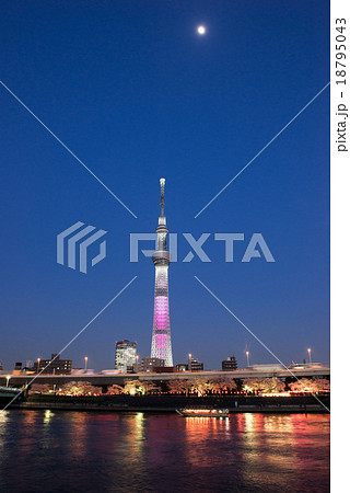月夜と隅田公園の夜桜 月夜と隅田公園の夜桜 18795043