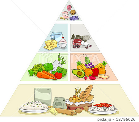 Food Pyramid Examples 18796026