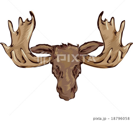 Moose Head 18796058