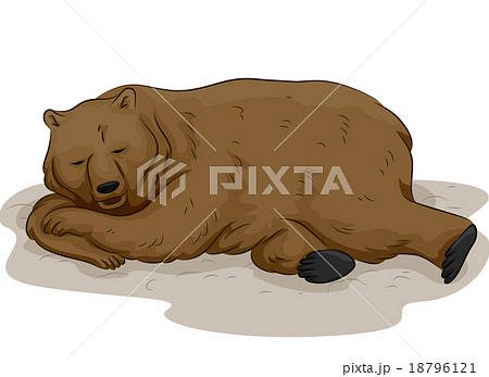 Bear Hibernationのイラスト素材