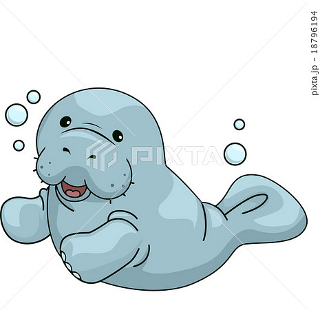 Manatee 18796194
