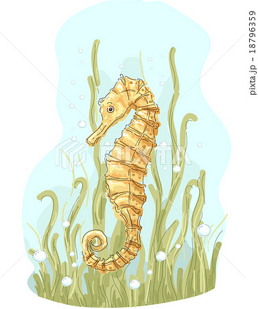 Sea Horse 18796359