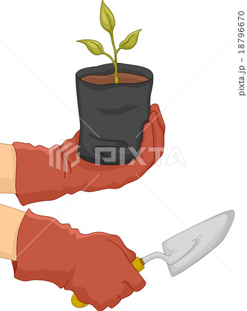 Hand Planting Hand Planting 18796670