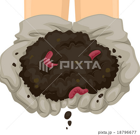 Vermicast Soil Hands 18796677