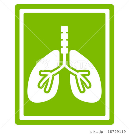 Lungs X-Ray Photo Icon Lungs X-Ray Photo Icon 18799119