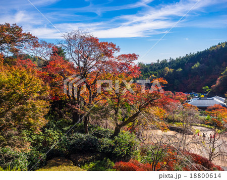 勝尾寺の紅葉の写真素材