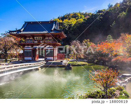 勝尾寺山門と紅葉 18800619