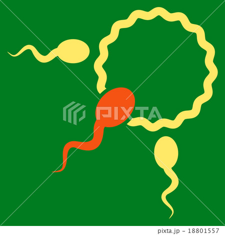 Fertilization Icon Fertilization Icon 18801557