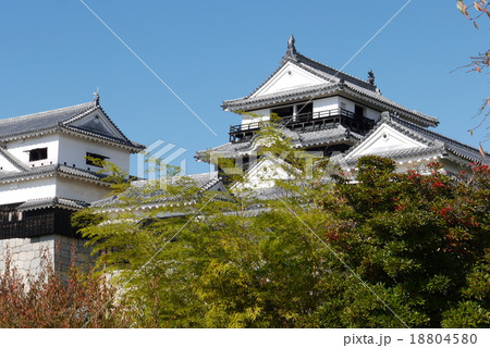 秋の伊予松山城 18804580