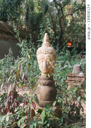 Buddha statue Buddha statue 18808124