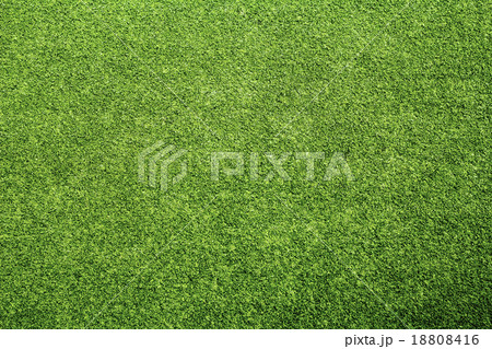 Beautiful green grass texture. 18808416
