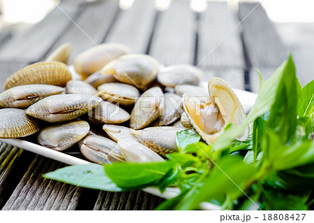 Surf clam Surf clam 18808427