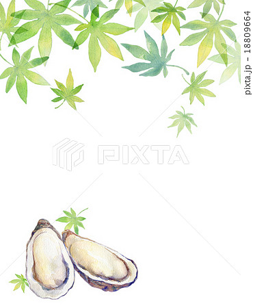 牡蠣ともみじ 牡蠣ともみじ 18809664
