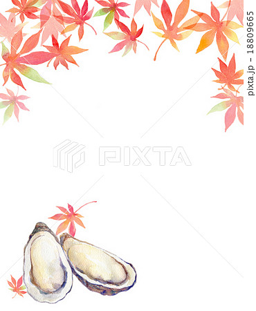 牡蠣ともみじ 牡蠣ともみじ 18809665