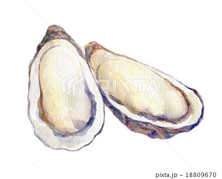 牡蠣 牡蠣 18809670