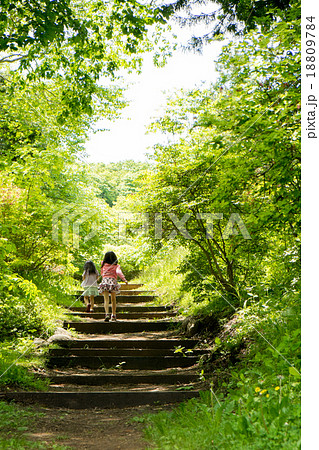 森の小道を歩く子供達の写真素材