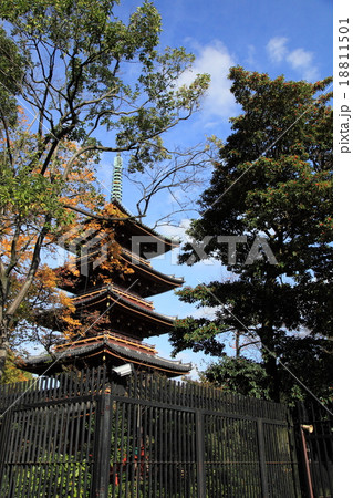 上野東照宮の五重塔 18811501