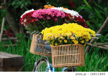 vintage old bicycle with flowers bouquet vintage old bicycle with flowers bouquet 18811860