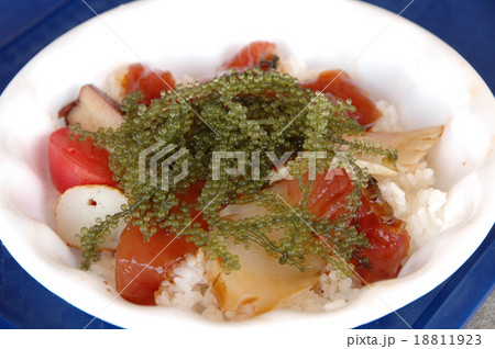 海鮮丼 18811923