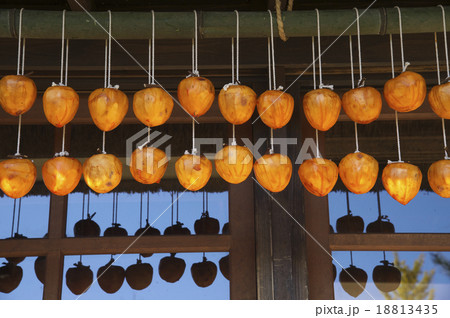 冬支度 18813435