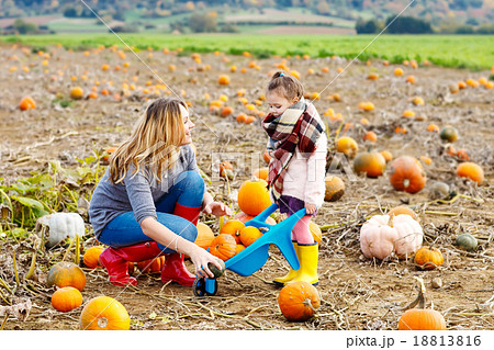 Little kid girl and mother having fun on pumkin 18813816