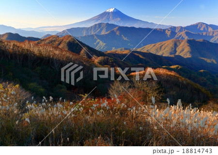 南大菩薩・ハマイバ丸から朝の富士山 南大菩薩・ハマイバ丸から朝の富士山 18814743