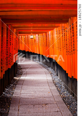 Fushimi Inari Taisha Shrine in Kyoto, Japan Fushimi Inari Taisha Shrine in Kyoto, Japan 18825760