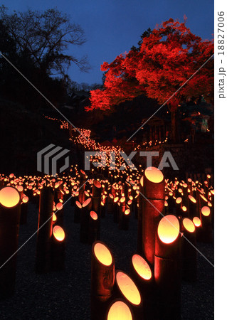 たけた竹灯篭　竹楽　十六羅漢　夕暮れ　② 18827006