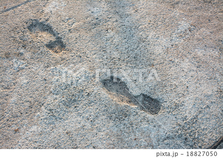 Footsteps on the concrete floor Footsteps on the concrete floor 18827050