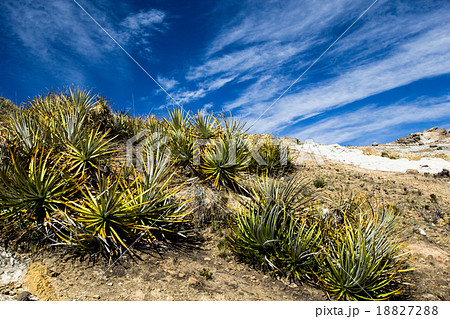 Isla del Sol on the Titicaca lake, Bolivia. Isla del Sol on the Titicaca lake, Bolivia. 18827288