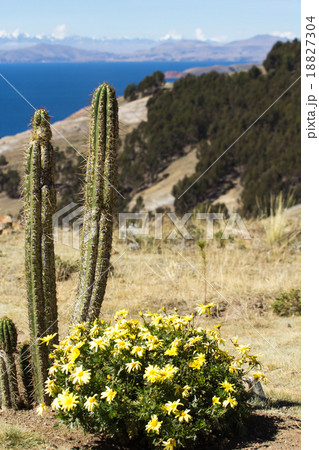 Isla del Sol on the Titicaca lake, Bolivia. Isla del Sol on the Titicaca lake, Bolivia. 18827304