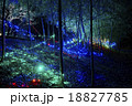 竹　イルミネーション 18827785