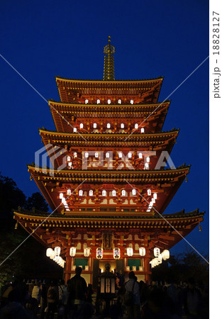 高幡不動尊萬燈会 高幡不動尊萬燈会 18828127