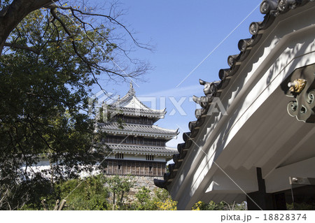 西尾城 本丸丑寅櫓 18828374