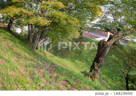 猪苗代城　南側堀切 18829600