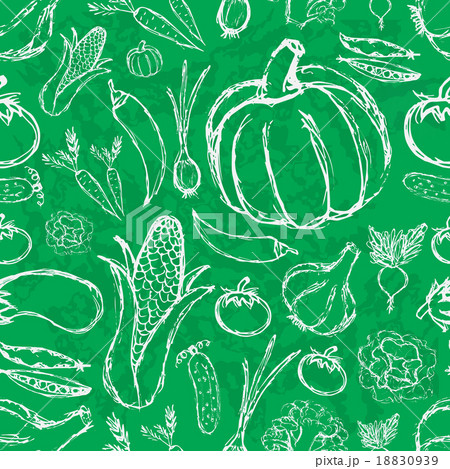 doodle vegetables on green board seamless pattern 18830939