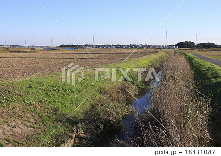 綾瀬川・榎戸橋からの眺め 18831087