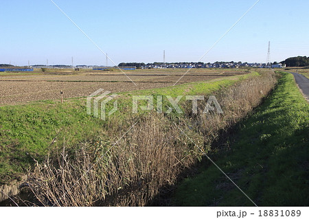 綾瀬川・榎戸橋からの眺め 綾瀬川・榎戸橋からの眺め 18831089