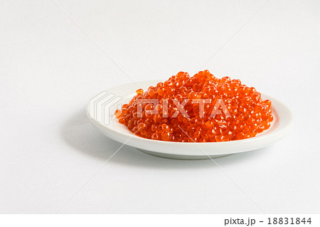 red caviar 6 red caviar 6 18831844