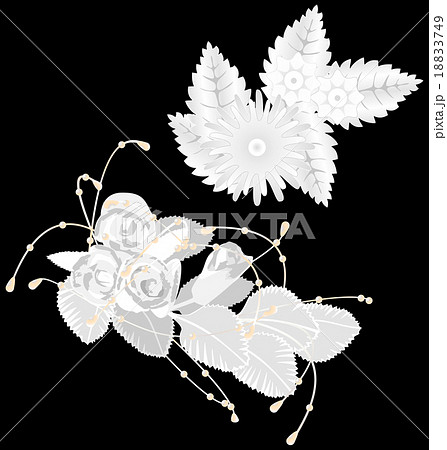 White flowers isolated on black  18833749