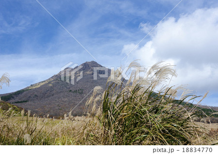 由布岳と山麓のすすき 由布岳と山麓のすすき 18834770