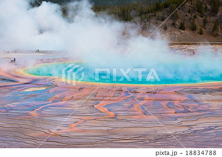 Grand Prismatic Spring, Midway Geyser Basin 18834788