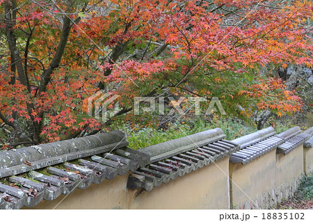 室町塀と紅葉 18835102